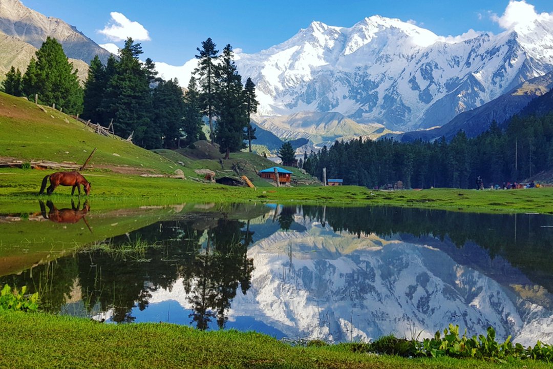 Fairy Meadows with Nanga Parbat in Pakistan