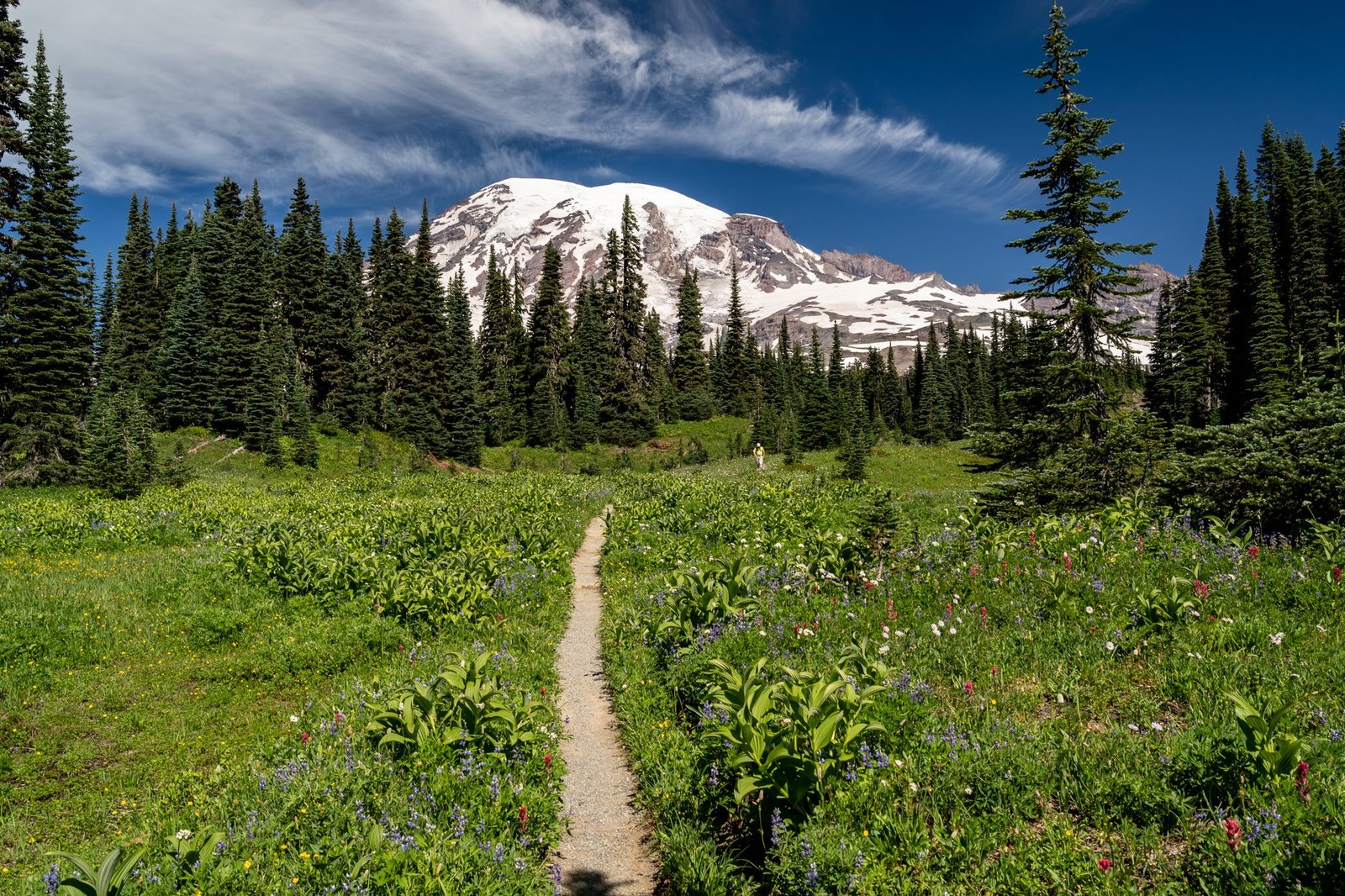 Mount Rainier, United States