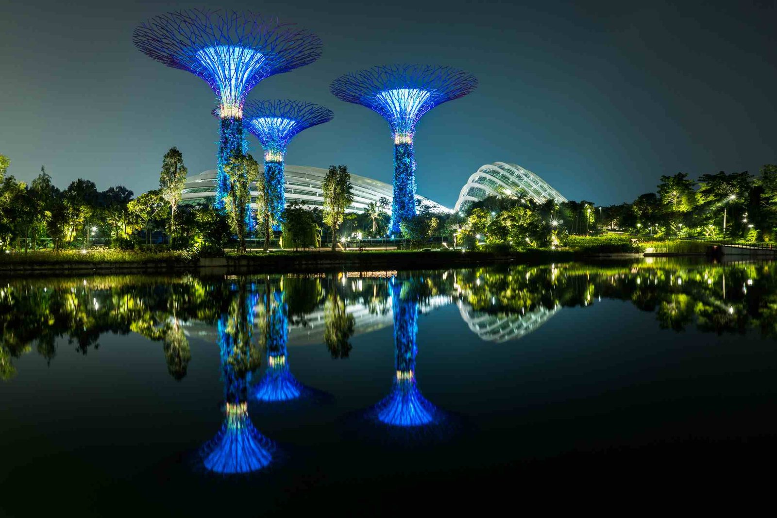 Supertree Grove at Gardens by the Bay